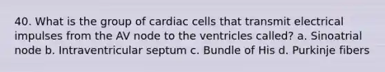 40. What is the group of cardiac cells that transmit electrical impulses from the AV node to the ventricles called? a. Sinoatrial node b. Intraventricular septum c. Bundle of His d. Purkinje fibers