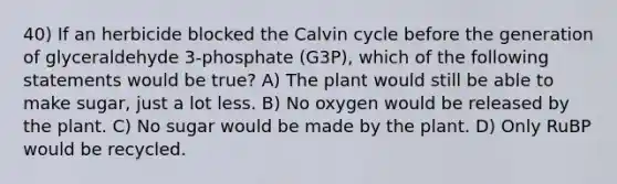 40) If an herbicide blocked the Calvin cycle before the generation of glyceraldehyde 3-phosphate (G3P), which of the following statements would be true? A) The plant would still be able to make sugar, just a lot less. B) No oxygen would be released by the plant. C) No sugar would be made by the plant. D) Only RuBP would be recycled.