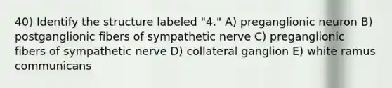 40) Identify the structure labeled "4." A) preganglionic neuron B) postganglionic fibers of sympathetic nerve C) preganglionic fibers of sympathetic nerve D) collateral ganglion E) white ramus communicans