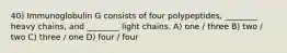 40) Immunoglobulin G consists of four polypeptides, ________ heavy chains, and ________ light chains. A) one / three B) two / two C) three / one D) four / four