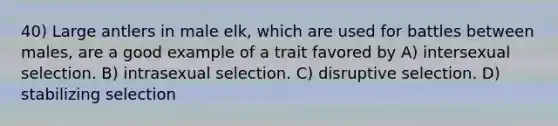 40) Large antlers in male elk, which are used for battles between males, are a good example of a trait favored by A) intersexual selection. B) intrasexual selection. C) disruptive selection. D) stabilizing selection