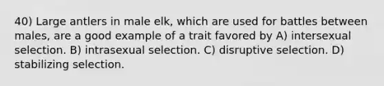 40) Large antlers in male elk, which are used for battles between males, are a good example of a trait favored by A) intersexual selection. B) intrasexual selection. C) disruptive selection. D) stabilizing selection.