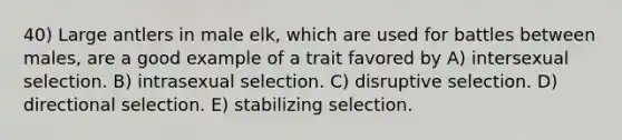 40) Large antlers in male elk, which are used for battles between males, are a good example of a trait favored by A) intersexual selection. B) intrasexual selection. C) disruptive selection. D) directional selection. E) stabilizing selection.