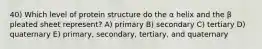 40) Which level of protein structure do the α helix and the β pleated sheet represent? A) primary B) secondary C) tertiary D) quaternary E) primary, secondary, tertiary, and quaternary