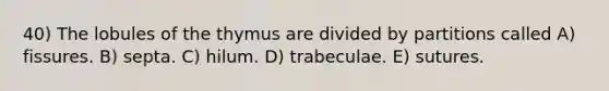 40) The lobules of the thymus are divided by partitions called A) fissures. B) septa. C) hilum. D) trabeculae. E) sutures.