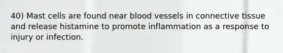 40) Mast cells are found near blood vessels in connective tissue and release histamine to promote inflammation as a response to injury or infection.