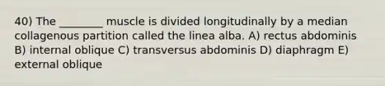 40) The ________ muscle is divided longitudinally by a median collagenous partition called the linea alba. A) rectus abdominis B) internal oblique C) transversus abdominis D) diaphragm E) external oblique