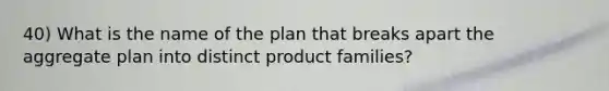 40) What is the name of the plan that breaks apart the aggregate plan into distinct product families?