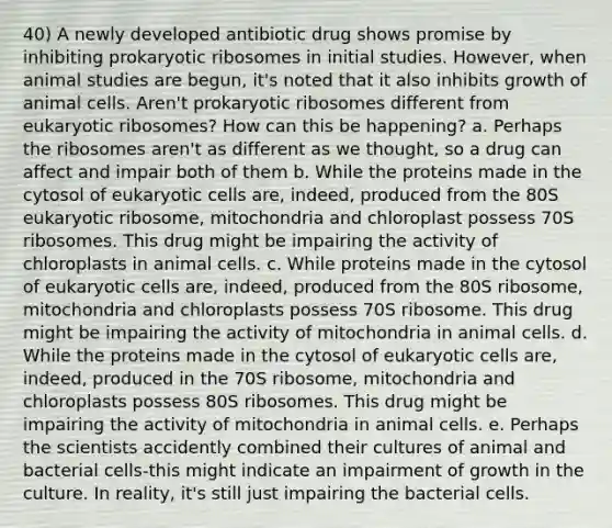 40) A newly developed antibiotic drug shows promise by inhibiting prokaryotic ribosomes in initial studies. However, when animal studies are begun, it's noted that it also inhibits growth of animal cells. Aren't prokaryotic ribosomes different from eukaryotic ribosomes? How can this be happening? a. Perhaps the ribosomes aren't as different as we thought, so a drug can affect and impair both of them b. While the proteins made in the cytosol of eukaryotic cells are, indeed, produced from the 80S eukaryotic ribosome, mitochondria and chloroplast possess 70S ribosomes. This drug might be impairing the activity of chloroplasts in animal cells. c. While proteins made in the cytosol of eukaryotic cells are, indeed, produced from the 80S ribosome, mitochondria and chloroplasts possess 70S ribosome. This drug might be impairing the activity of mitochondria in animal cells. d. While the proteins made in the cytosol of eukaryotic cells are, indeed, produced in the 70S ribosome, mitochondria and chloroplasts possess 80S ribosomes. This drug might be impairing the activity of mitochondria in animal cells. e. Perhaps the scientists accidently combined their cultures of animal and bacterial cells-this might indicate an impairment of growth in the culture. In reality, it's still just impairing the bacterial cells.