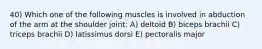 40) Which one of the following muscles is involved in abduction of the arm at the shoulder joint: A) deltoid B) biceps brachii C) triceps brachii D) latissimus dorsi E) pectoralis major