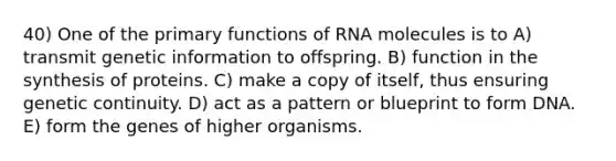 40) One of the primary functions of RNA molecules is to A) transmit genetic information to offspring. B) function in the synthesis of proteins. C) make a copy of itself, thus ensuring genetic continuity. D) act as a pattern or blueprint to form DNA. E) form the genes of higher organisms.