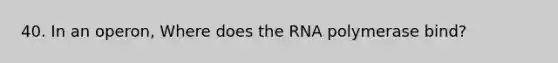 40. In an operon, Where does the RNA polymerase bind?