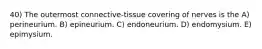 40) The outermost connective-tissue covering of nerves is the A) perineurium. B) epineurium. C) endoneurium. D) endomysium. E) epimysium.