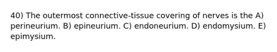 40) The outermost connective-tissue covering of nerves is the A) perineurium. B) epineurium. C) endoneurium. D) endomysium. E) epimysium.