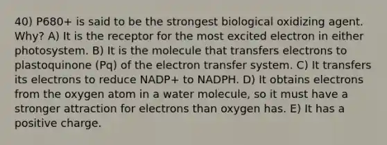 40) P680+ is said to be the strongest biological oxidizing agent. Why? A) It is the receptor for the most excited electron in either photosystem. B) It is the molecule that transfers electrons to plastoquinone (Pq) of the electron transfer system. C) It transfers its electrons to reduce NADP+ to NADPH. D) It obtains electrons from the oxygen atom in a water molecule, so it must have a stronger attraction for electrons than oxygen has. E) It has a positive charge.