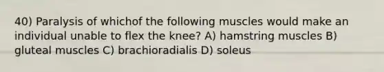 40) Paralysis of whichof the following muscles would make an individual unable to flex the knee? A) hamstring muscles B) gluteal muscles C) brachioradialis D) soleus