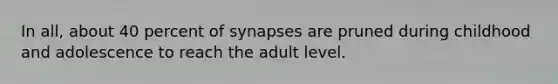 In all, about 40 percent of synapses are pruned during childhood and adolescence to reach the adult level.