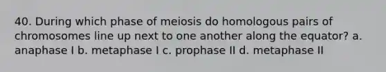 40. During which phase of meiosis do homologous pairs of chromosomes line up next to one another along the equator? a. anaphase I b. metaphase I c. prophase II d. metaphase II