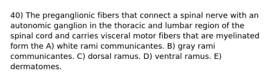 40) The preganglionic fibers that connect a spinal nerve with an autonomic ganglion in the thoracic and lumbar region of the spinal cord and carries visceral motor fibers that are myelinated form the A) white rami communicantes. B) gray rami communicantes. C) dorsal ramus. D) ventral ramus. E) dermatomes.