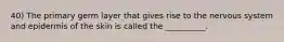 40) The primary germ layer that gives rise to the nervous system and epidermis of the skin is called the __________.