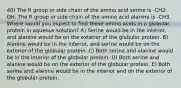 40) The R group or side chain of the amino acid serine is -CH2-OH. The R group or side chain of the amino acid alanine is -CH3. Where would you expect to find these amino acids in a globular protein in aqueous solution? A) Serine would be in the interior, and alanine would be on the exterior of the globular protein. B) Alanine would be in the interior, and serine would be on the exterior of the globular protein. C) Both serine and alanine would be in the interior of the globular protein. D) Both serine and alanine would be on the exterior of the globular protein. E) Both serine and alanine would be in the interior and on the exterior of the globular protein.