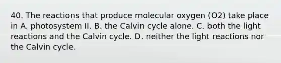 40. The reactions that produce molecular oxygen (O2) take place in A. photosystem II. B. the Calvin cycle alone. C. both the light reactions and the Calvin cycle. D. neither the light reactions nor the Calvin cycle.