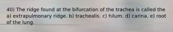 40) The ridge found at the bifurcation of the trachea is called the a) extrapulmonary ridge. b) trachealis. c) hilum. d) carina. e) root of the lung.