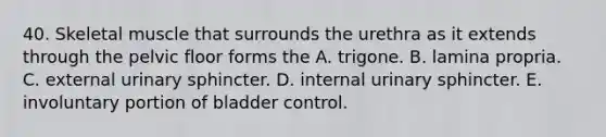 40. Skeletal muscle that surrounds the urethra as it extends through the pelvic floor forms the A. trigone. B. lamina propria. C. external urinary sphincter. D. internal urinary sphincter. E. involuntary portion of bladder control.