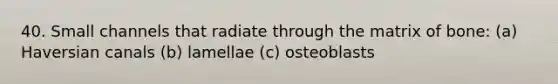 40. Small channels that radiate through the matrix of bone: (a) Haversian canals (b) lamellae (c) osteoblasts