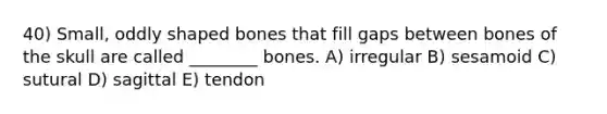 40) Small, oddly shaped bones that fill gaps between bones of the skull are called ________ bones. A) irregular B) sesamoid C) sutural D) sagittal E) tendon