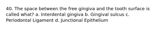 40. The space between the free gingiva and the tooth surface is called what? a. Interdental gingiva b. Gingival sulcus c. Periodontal Ligament d. Junctional Epithelium