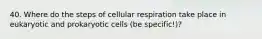 40. Where do the steps of cellular respiration take place in eukaryotic and prokaryotic cells (be specific!)?