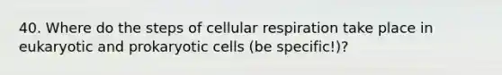 40. Where do the steps of cellular respiration take place in eukaryotic and prokaryotic cells (be specific!)?