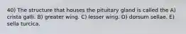 40) The structure that houses the pituitary gland is called the A) crista galli. B) greater wing. C) lesser wing. D) dorsum sellae. E) sella turcica.