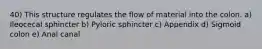 40) This structure regulates the flow of material into the colon. a) Ileocecal sphincter b) Pyloric sphincter c) Appendix d) Sigmoid colon e) Anal canal