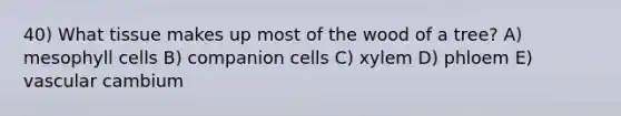 40) What tissue makes up most of the wood of a tree? A) mesophyll cells B) companion cells C) xylem D) phloem E) vascular cambium