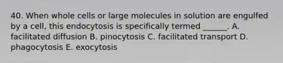 40. When whole cells or large molecules in solution are engulfed by a cell, this endocytosis is specifically termed ______. A. facilitated diffusion B. pinocytosis C. facilitated transport D. phagocytosis E. exocytosis