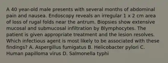 A 40 year-old male presents with several months of abdominal pain and nausea. Endoscopy reveals an irregular 1 x 2 cm area of loss of rugal folds near the antrum. Biopsies show extensive mucosal and submucosal infiltration by Blymphocytes. The patient is given appropriate treatment and the lesion resolves. Which infectious agent is most likely to be associated with these findings? A. Aspergillus fumigatus B. Helicobacter pylori C. Human papilloma virus D. Salmonella typhi