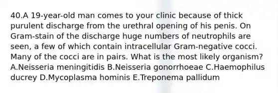 40.A 19-year-old man comes to your clinic because of thick purulent discharge from the urethral opening of his penis. On Gram-stain of the discharge huge numbers of neutrophils are seen, a few of which contain intracellular Gram-negative cocci. Many of the cocci are in pairs. What is the most likely organism? A.Neisseria meningitidis B.Neisseria gonorrhoeae C.Haemophilus ducrey D.Mycoplasma hominis E.Treponema pallidum