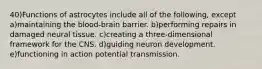 40)Functions of astrocytes include all of the following, except a)maintaining the blood-brain barrier. b)performing repairs in damaged neural tissue. c)creating a three-dimensional framework for the CNS. d)guiding neuron development. e)functioning in action potential transmission.