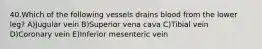 40.Which of the following vessels drains blood from the lower leg? A)Jugular vein B)Superior vena cava C)Tibial vein D)Coronary vein E)Inferior mesenteric vein
