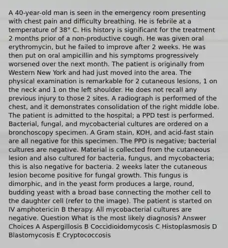 A 40-year-old man is seen in the emergency room presenting with chest pain and difficulty breathing. He is febrile at a temperature of 38° C. His history is significant for the treatment 2 months prior of a non-productive cough. He was given oral erythromycin, but he failed to improve after 2 weeks. He was then put on oral ampicillin and his symptoms progressively worsened over the next month. The patient is originally from Western New York and had just moved into the area. The physical examination is remarkable for 2 cutaneous lesions, 1 on the neck and 1 on the left shoulder. He does not recall any previous injury to those 2 sites. A radiograph is performed of the chest, and it demonstrates consolidation of the right middle lobe. The patient is admitted to the hospital; a PPD test is performed. Bacterial, fungal, and mycobacterial cultures are ordered on a bronchoscopy specimen. A Gram stain, KOH, and acid-fast stain are all negative for this specimen. The PPD is negative; bacterial cultures are negative. Material is collected from the cutaneous lesion and also cultured for bacteria, fungus, and mycobacteria; this is also negative for bacteria. 2 weeks later the cutaneous lesion become positive for fungal growth. This fungus is dimorphic, and in the yeast form produces a large, round, budding yeast with a broad base connecting the mother cell to the daughter cell (refer to the image). The patient is started on IV amphotericin B therapy. All mycobacterial cultures are negative. Question What is the most likely diagnosis? Answer Choices A Aspergillosis B Coccidioidomycosis C Histoplasmosis D Blastomycosis E Cryptococcosis