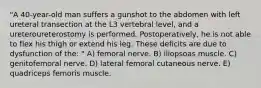 "A 40-year-old man suffers a gunshot to the abdomen with left ureteral transection at the L3 vertebral level, and a ureteroureterostomy is performed. Postoperatively, he is not able to flex his thigh or extend his leg. These deficits are due to dysfunction of the: " A) femoral nerve. B) iliopsoas muscle. C) genitofemoral nerve. D) lateral femoral cutaneous nerve. E) quadriceps femoris muscle.