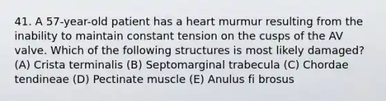 41. A 57-year-old patient has a heart murmur resulting from the inability to maintain constant tension on the cusps of the AV valve. Which of the following structures is most likely damaged? (A) Crista terminalis (B) Septomarginal trabecula (C) Chordae tendineae (D) Pectinate muscle (E) Anulus fi brosus