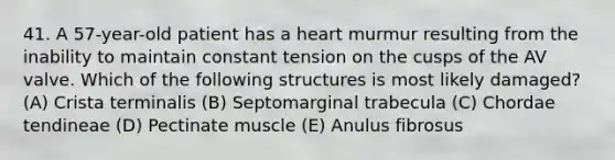 41. A 57-year-old patient has a heart murmur resulting from the inability to maintain constant tension on the cusps of the AV valve. Which of the following structures is most likely damaged? (A) Crista terminalis (B) Septomarginal trabecula (C) Chordae tendineae (D) Pectinate muscle (E) Anulus fibrosus