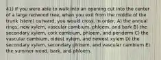 41) If you were able to walk into an opening cut into the center of a large redwood tree, when you exit from the middle of the trunk (stem) outward, you would cross, in order, A) the annual rings, new xylem, vascular cambium, phloem, and bark B) the secondary xylem, cork cambium, phloem, and periderm C) the vascular cambium, oldest xylem, and newest xylem D) the secondary xylem, secondary phloem, and vascular cambium E) the summer wood, bark, and phloem.