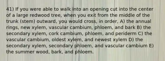 41) If you were able to walk into an opening cut into the center of a large redwood tree, when you exit from the middle of the trunk (stem) outward, you would cross, in order, A) the annual rings, new xylem, vascular cambium, phloem, and bark B) the secondary xylem, cork cambium, phloem, and periderm C) the vascular cambium, oldest xylem, and newest xylem D) the secondary xylem, secondary phloem, and vascular cambium E) the summer wood, bark, and phloem.