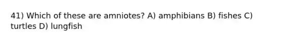 41) Which of these are amniotes? A) amphibians B) fishes C) turtles D) lungfish