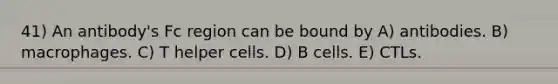 41) An antibody's Fc region can be bound by A) antibodies. B) macrophages. C) T helper cells. D) B cells. E) CTLs.