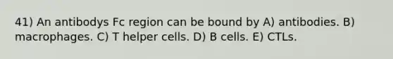 41) An antibodys Fc region can be bound by A) antibodies. B) macrophages. C) T helper cells. D) B cells. E) CTLs.